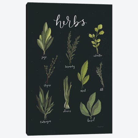 Light Green Herbs I On Black Background Canvas Print #BCK163} by Becky Thorns Canvas Art