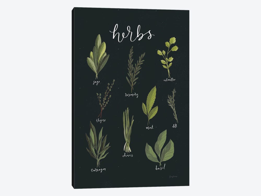 Light Green Herbs I On Black Background by Becky Thorns 1-piece Canvas Print