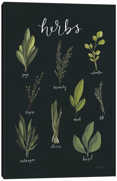 Light Green Herbs I On Black Background Canvas Art Print - Herb Art