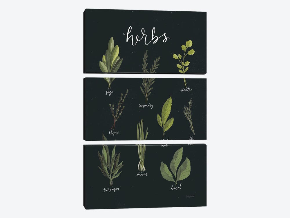 Light Green Herbs I On Black Background by Becky Thorns 3-piece Canvas Print