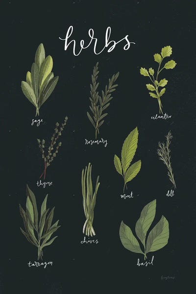 Light Green Herbs I On Black Background