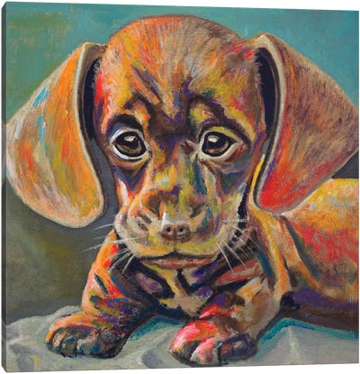 Puppy Face Canvas Art Print - Puppy Art