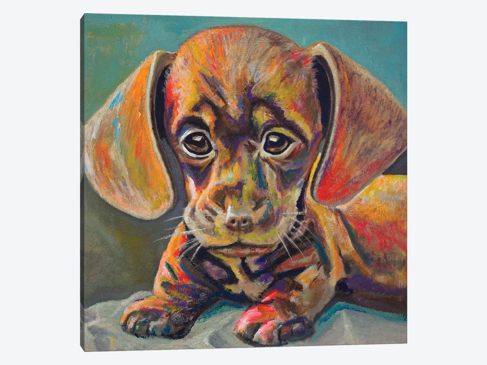 Puppy Face by Andy Beauchamp 1-piece Canvas Print