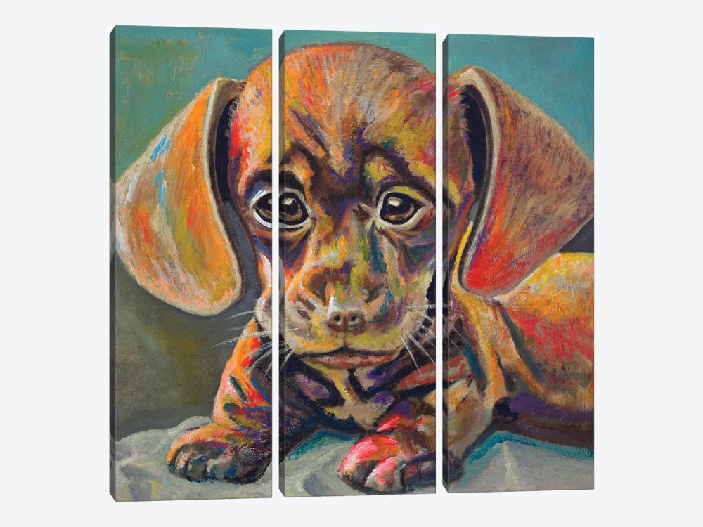 Puppy Face by Andy Beauchamp 3-piece Art Print