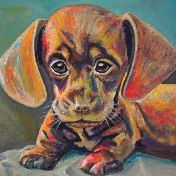 Puppies: Puppy Face by Andy Beauchamp