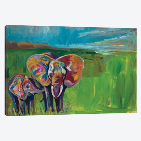 An Elephant's Love Canvas Print #BCM1} by Andy Beauchamp Canvas Artwork