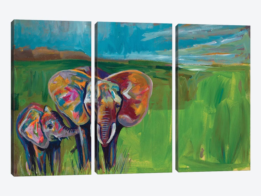 An Elephant's Love by Andy Beauchamp 3-piece Canvas Print