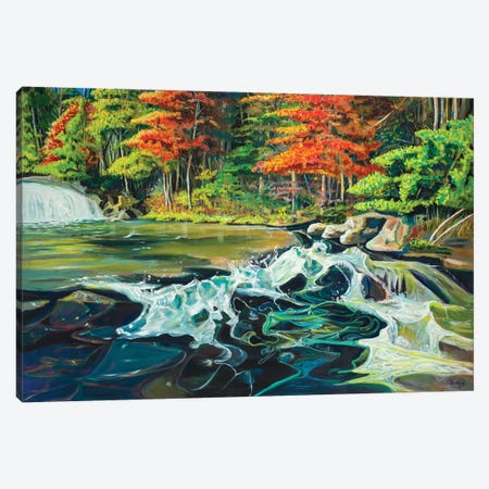Running River I Canvas Print #BCM20} by Andy Beauchamp Canvas Artwork