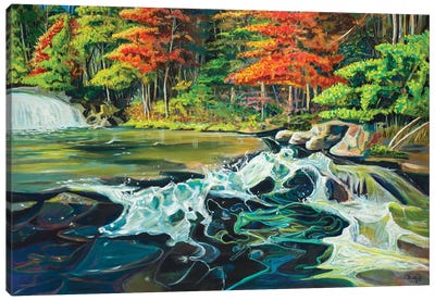 Running River I Canvas Art Print