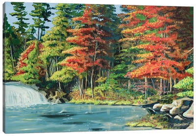 Running River II Canvas Art Print