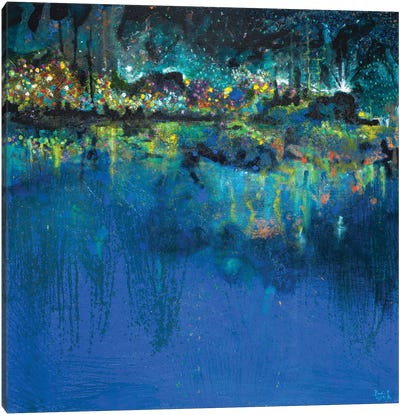 Lake Butler Abstract Canvas Art Print