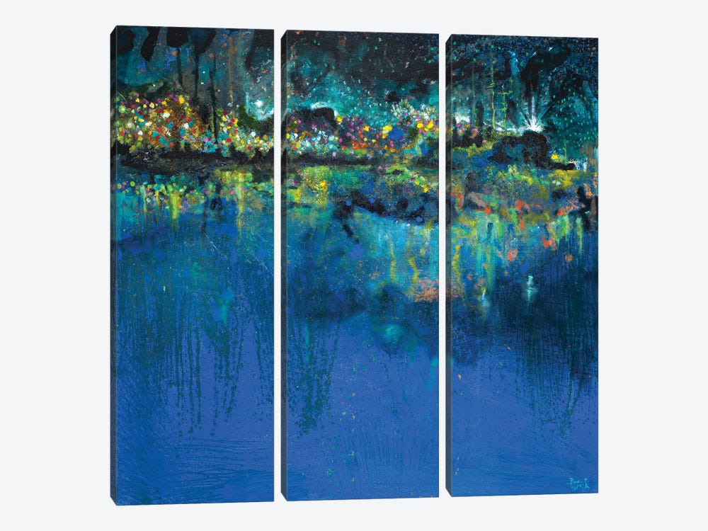 Lake Butler Abstract by Andy Beauchamp 3-piece Art Print