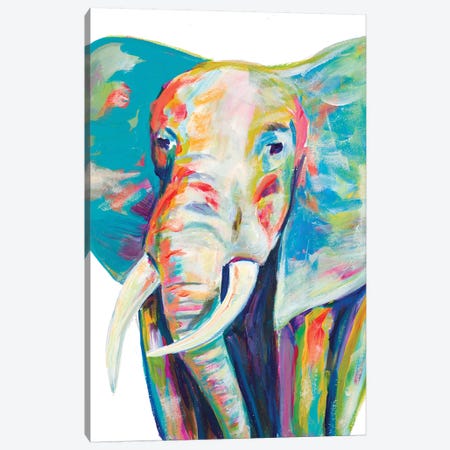 Colorful Elephant Canvas Print #BCM3} by Andy Beauchamp Canvas Wall Art