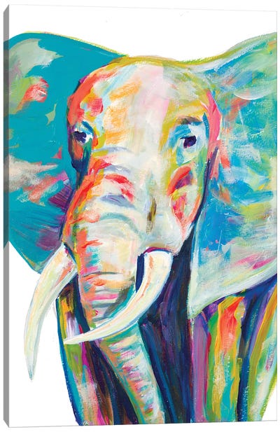 Colorful Elephant Canvas Art Print