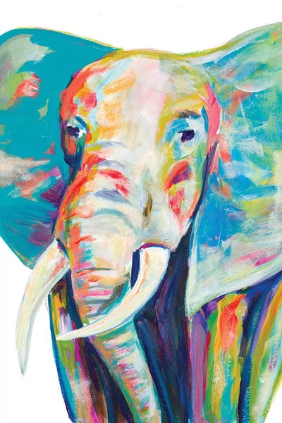 Colorful Elephant