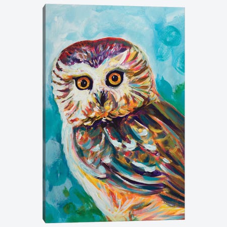 Colorful Owl Canvas Print #BCM7} by Andy Beauchamp Canvas Art Print