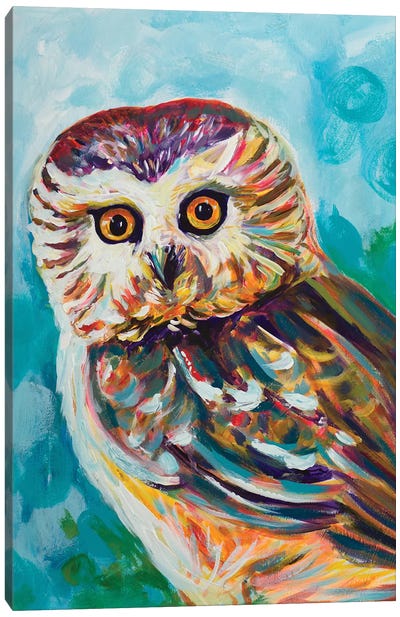 Colorful Owl Canvas Art Print