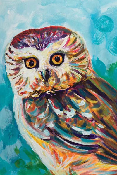 Andy Beauchamp: Colorful Owl by Andy Beauchamp