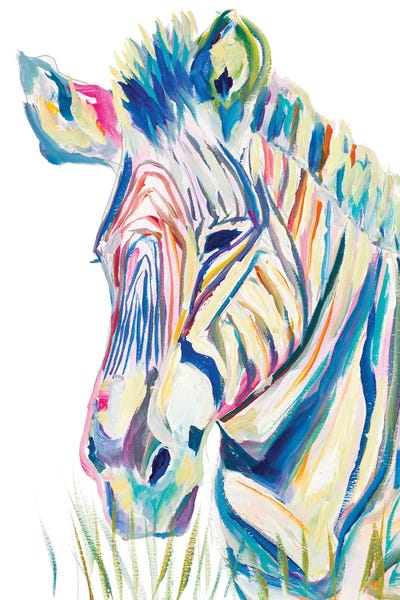 Colorful Zebra by Andy Beauchamp framed wall art