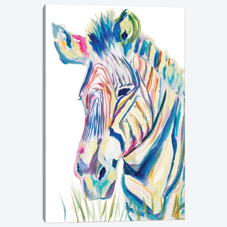 Colorful Zebra Canvas Print #BCM8} by Andy Beauchamp Canvas Art