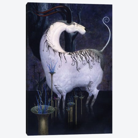 The Horned White Canvas Print #BCN1} by Bill Carman Canvas Print