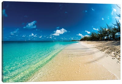 Cayman Islands Beach Canvas Art Print - Cayman Islands