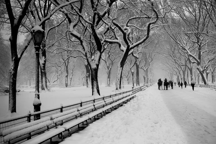 Central Park Snow