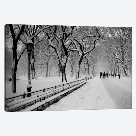 Central Park Snow Canvas Print #BCP13} by Bill Carson Photography Canvas Artwork