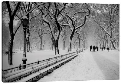 Central Park Snow Canvas Art Print - City Park Art