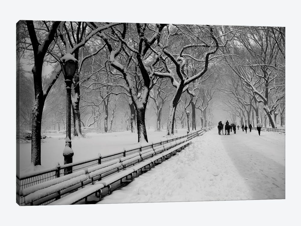 Central Park Snow by Bill Carson Photography 1-piece Canvas Art Print