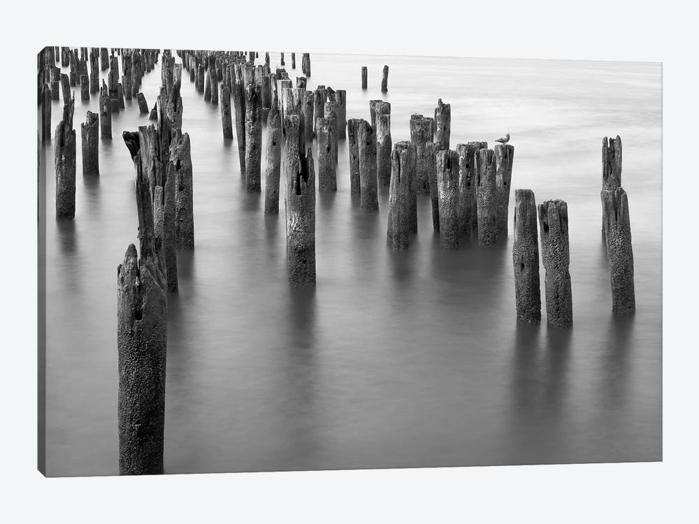 Hudson River Pilings by Bill Carson Photography 1-piece Canvas Art Print