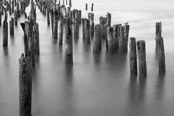 Bill Carson Photography: Hudson River Pilings by Bill Carson Photography