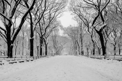 The Mall Washington DC by Bill Carson Photography acrylic art print