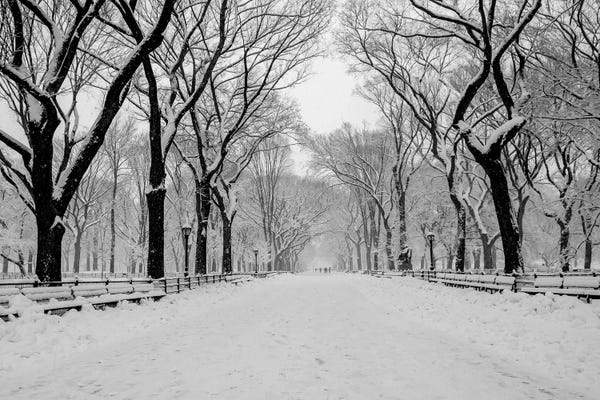 Bill Carson Photography: The Mall Washington DC by Bill Carson Photography