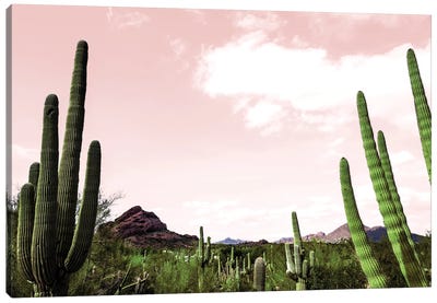 Cactus Landscape Under Pink Sky Canvas Art Print