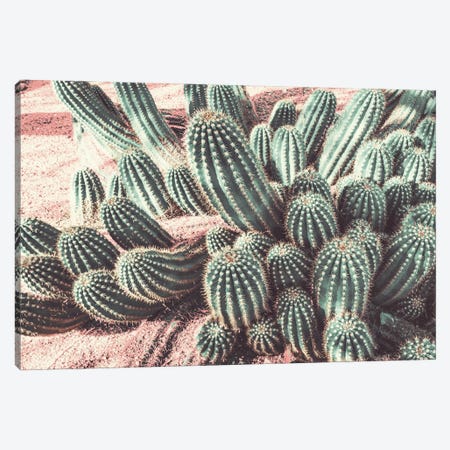 Cactus Muted Burst Canvas Print #BCP48} by Bill Carson Photography Canvas Print