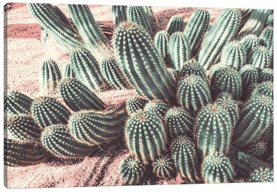 Cactus Muted Burst Canvas Art Print