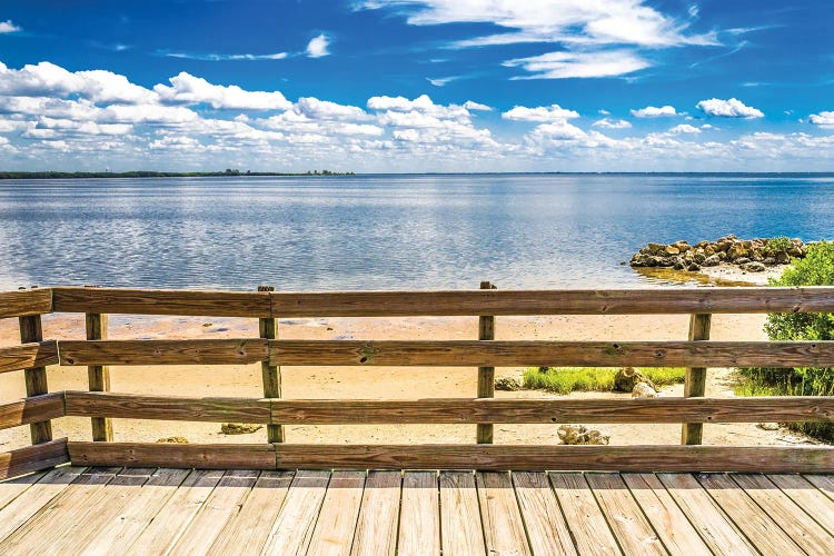 Ocean Overlook by Bill Carson Photography wall art