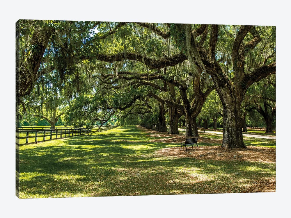 Boone Hall by Bill Carson Photography 1-piece Canvas Print