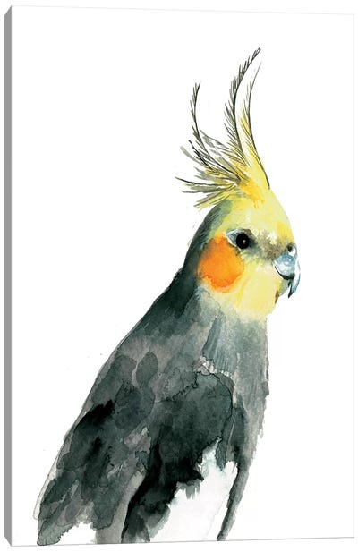 Cockatiel II Canvas Art Print - Parrot Art