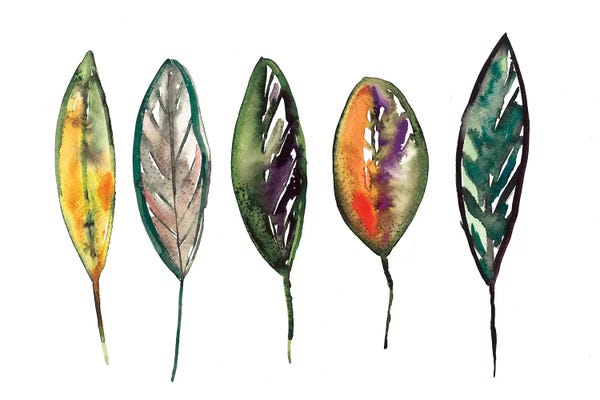 Minimalist Bohemian Decor: Feathers by Albina Bratcheva