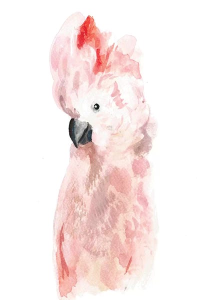 Parrots: Mohawk by Albina Bratcheva