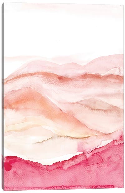 Mojave  Desert Canvas Art Print - Black & Pink Art