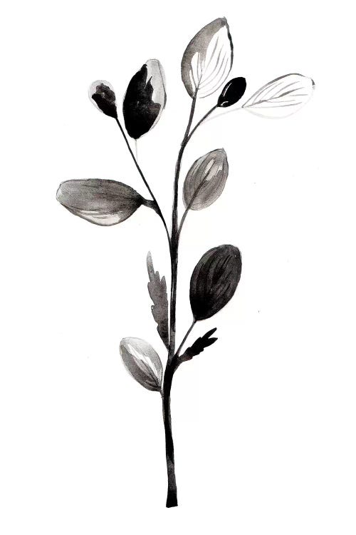 Herb II by Albina Bratcheva wall art