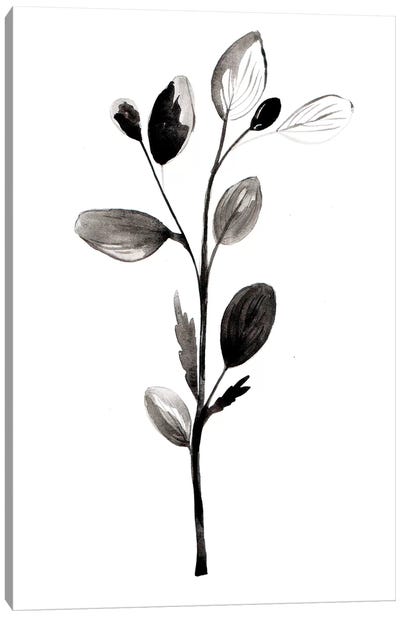 Herb II Canvas Art Print - Albina Bratcheva
