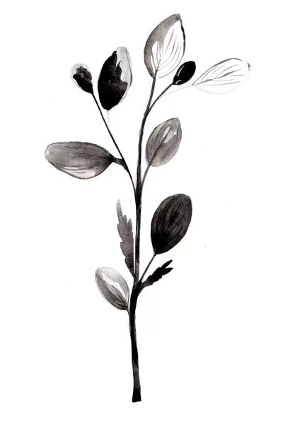 Herb II