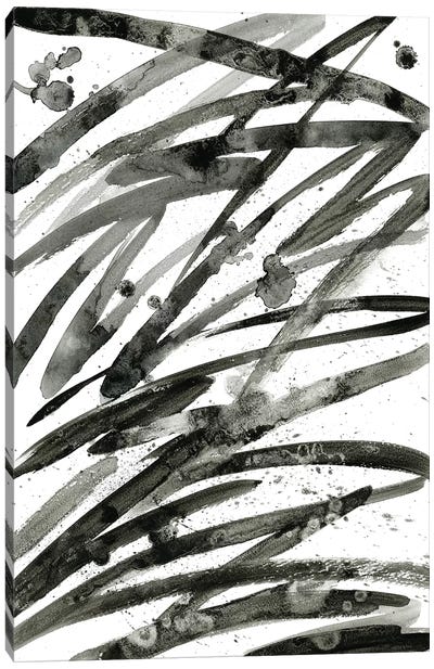 Wild Thoughts Canvas Art Print - Black & White Minimalist Décor