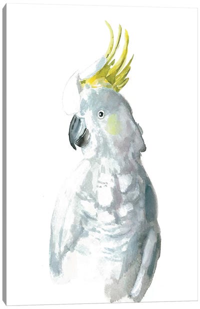 Cockatiel I Canvas Art Print - Parrot Art
