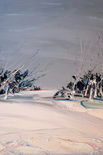 Bridie O'Brien: Carte Blanche by Bridie O'Brien