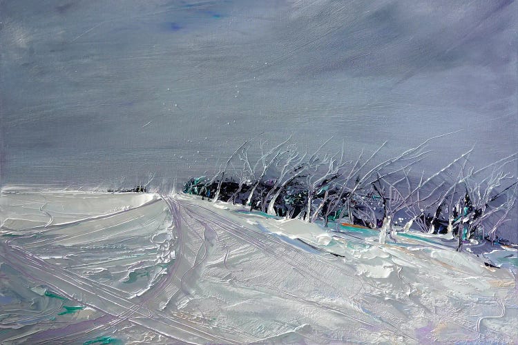 Funnel Web After Hours by Bridie O'Brien wall art
